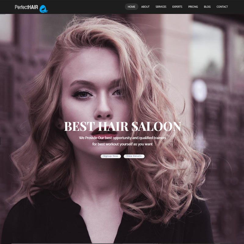 website design for a beauty salon