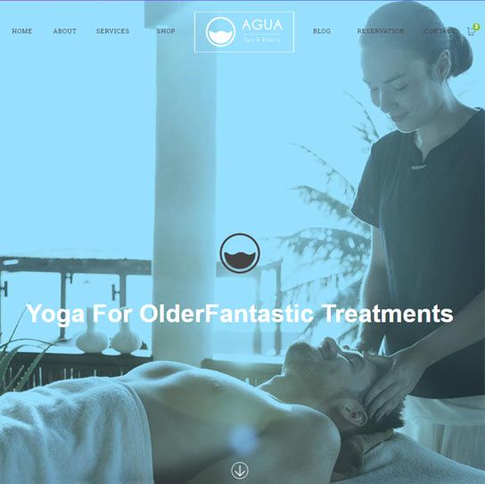 website design for a spa