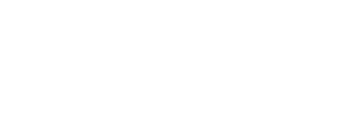 Texas Instruments